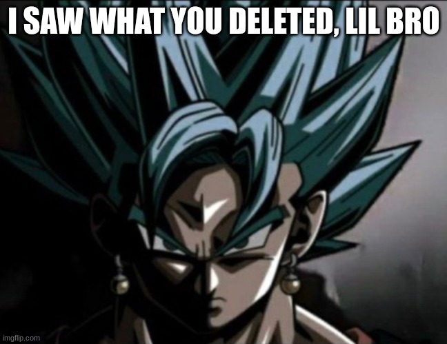 Bro's cooked | I SAW WHAT YOU DELETED, LIL BRO | image tagged in vegito prowler meme,anime | made w/ Imgflip meme maker
