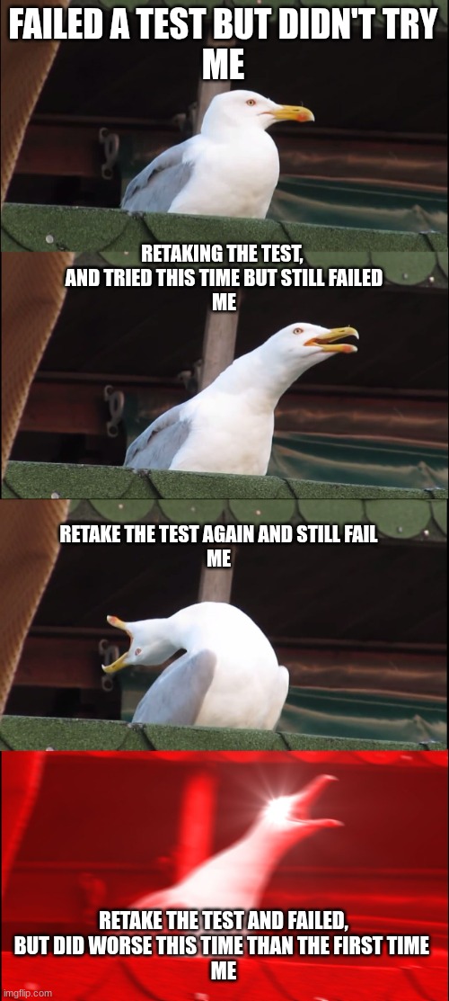 high school be like | FAILED A TEST BUT DIDN'T TRY
ME; RETAKING THE TEST, 
AND TRIED THIS TIME BUT STILL FAILED
ME; RETAKE THE TEST AGAIN AND STILL FAIL
ME; RETAKE THE TEST AND FAILED,
BUT DID WORSE THIS TIME THAN THE FIRST TIME 
ME | image tagged in memes,inhaling seagull | made w/ Imgflip meme maker