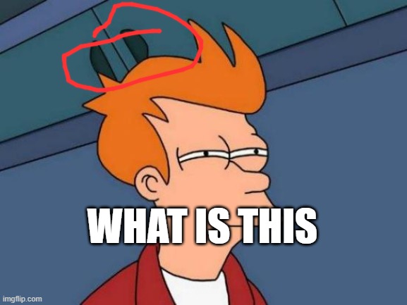It could be like a closet or smth | WHAT IS THIS | image tagged in memes,futurama fry | made w/ Imgflip meme maker