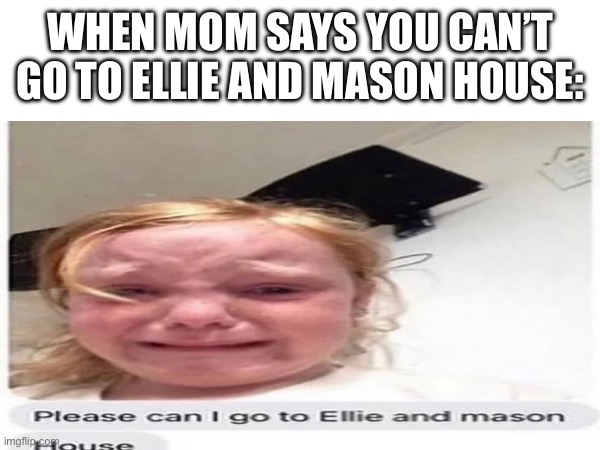 Dead meme I know | WHEN MOM SAYS YOU CAN’T GO TO ELLIE AND MASON HOUSE: | made w/ Imgflip meme maker