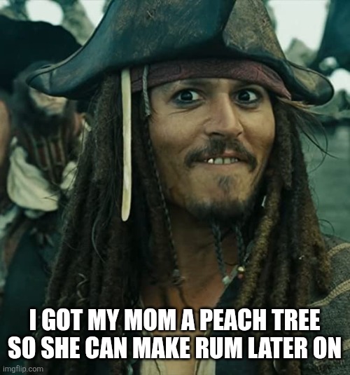 I GOT MY MOM A PEACH TREE
SO SHE CAN MAKE RUM LATER ON | image tagged in jack sparrow oh that's nice | made w/ Imgflip meme maker