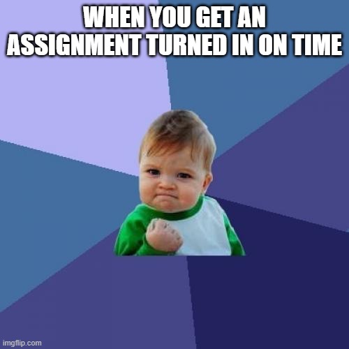 Success Kid Meme | WHEN YOU GET AN ASSIGNMENT TURNED IN ON TIME | image tagged in memes,success kid,assignment,school,school meme | made w/ Imgflip meme maker