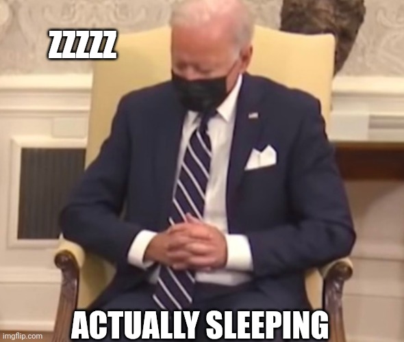 Sleeping Biden | ZZZZZ ACTUALLY SLEEPING | image tagged in sleeping biden | made w/ Imgflip meme maker