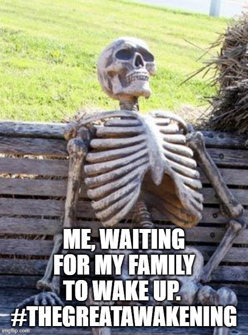 Waiting Skeleton | ME, WAITING FOR MY FAMILY TO WAKE UP.  #THEGREATAWAKENING | image tagged in memes,waiting skeleton | made w/ Imgflip meme maker