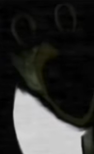 Chica Blank Meme Template