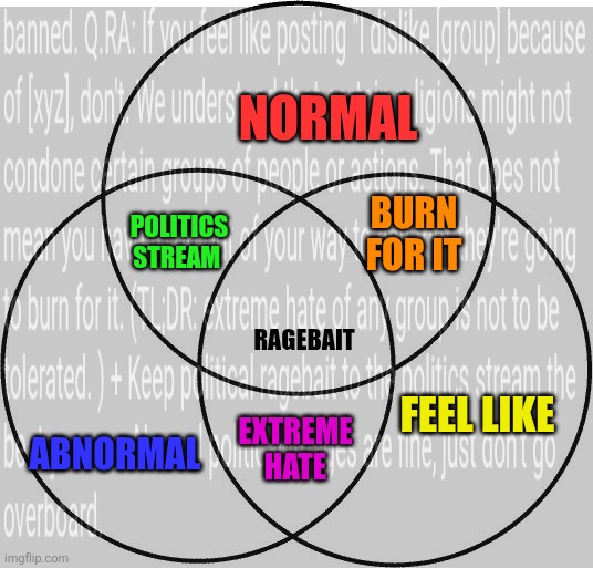 NORMAL ABNORMAL FEEL LIKE POLITICS STREAM BURN FOR IT EXTREME HATE RAGEBAIT | made w/ Imgflip meme maker