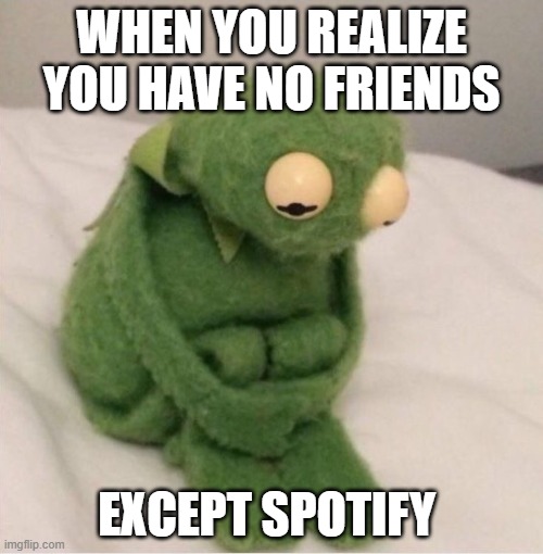 Sad Kermit | WHEN YOU REALIZE YOU HAVE NO FRIENDS; EXCEPT SPOTIFY | image tagged in sad kermit | made w/ Imgflip meme maker
