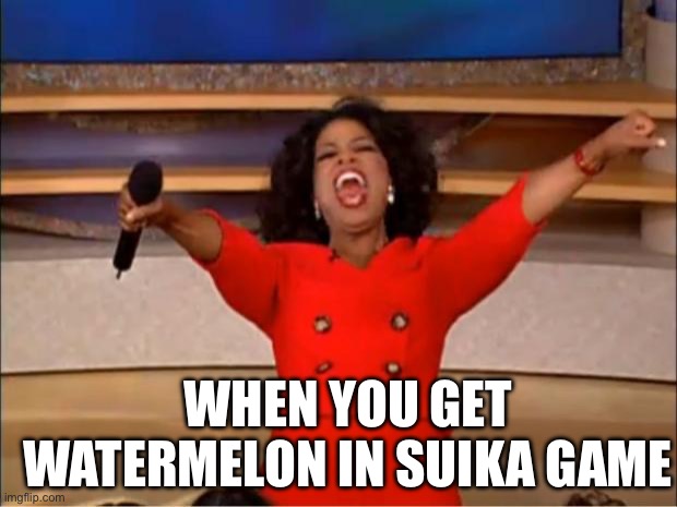 Oprah You Get A | WHEN YOU GET WATERMELON IN SUIKA GAME | image tagged in memes,oprah you get a | made w/ Imgflip meme maker