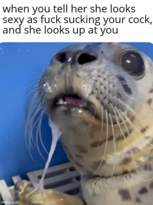 Look up at me | image tagged in look up,eyes,blowjob | made w/ Imgflip meme maker