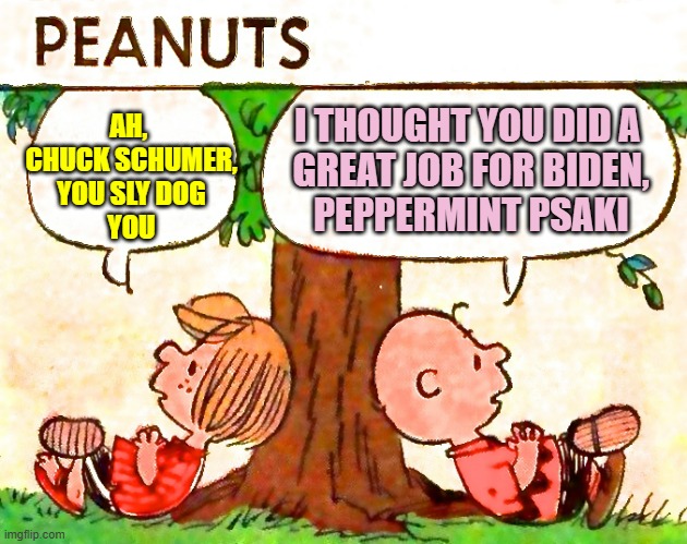 Peanuts Charlie Brown Peppermint Patty | I THOUGHT YOU DID A 
GREAT JOB FOR BIDEN,
PEPPERMINT PSAKI AH, 
CHUCK SCHUMER,
YOU SLY DOG
YOU | image tagged in peanuts charlie brown peppermint patty | made w/ Imgflip meme maker