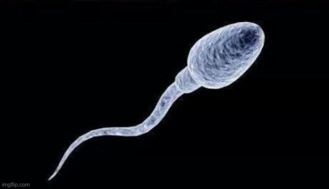 This is the oldest picture of me in existence | image tagged in da sperm,msmg | made w/ Imgflip meme maker