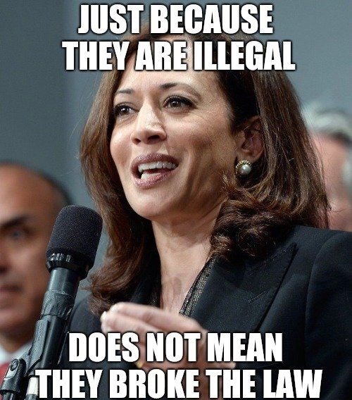 She Was And Is A Walking Word Salad | image tagged in word salads,libtard,liberal logic,liberal hypocrisy,irrationality,illogical | made w/ Imgflip meme maker