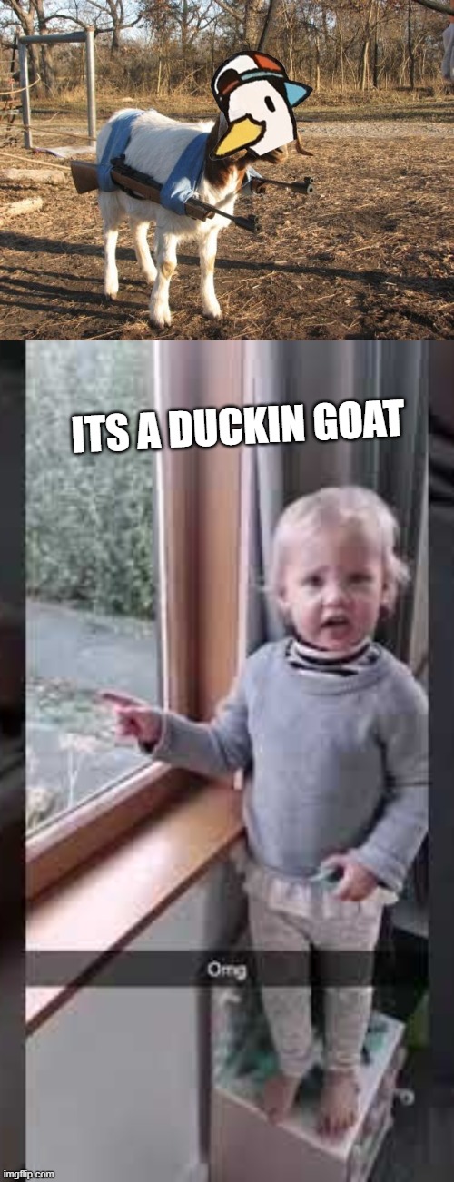 ITS A DUCKIN GOAT | image tagged in call of duty goat | made w/ Imgflip meme maker