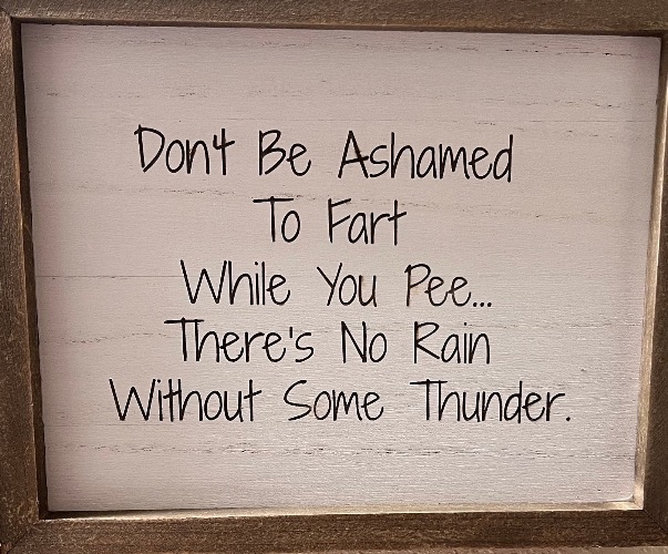 Fart Advice | image tagged in funny memes,fart,pee,advice,funny quotes,rain and thunder | made w/ Imgflip meme maker