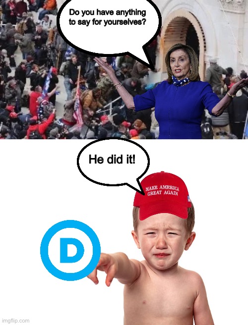 Do you have anything to say for yourselves? He did it! | image tagged in maga riot,conservative hypocrisy | made w/ Imgflip meme maker