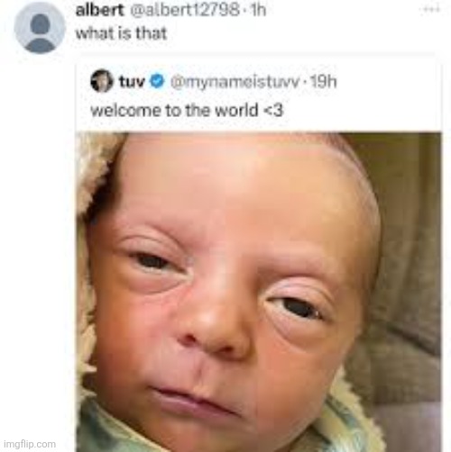 made w/ Imgflip meme maker