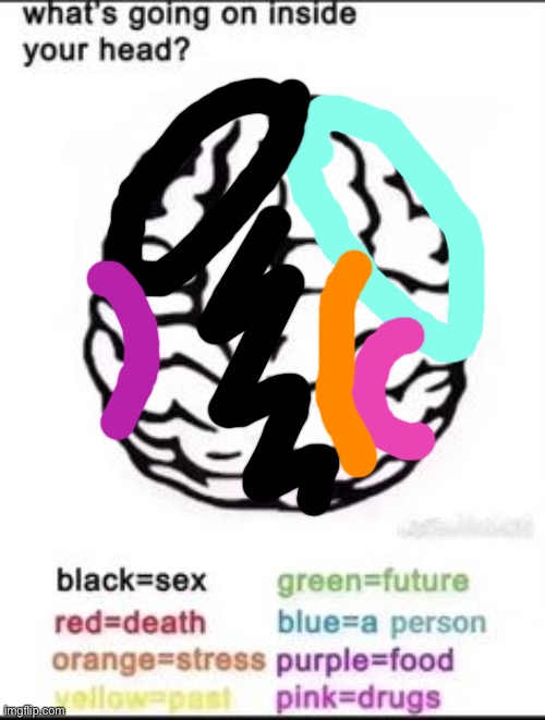 What's going on inside your head? | image tagged in what's going on inside your head | made w/ Imgflip meme maker