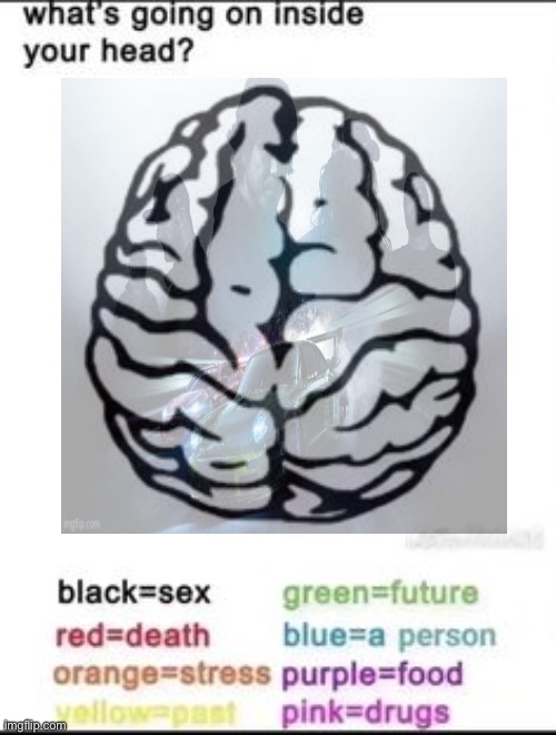 What's going on inside your head? | image tagged in what's going on inside your head | made w/ Imgflip meme maker