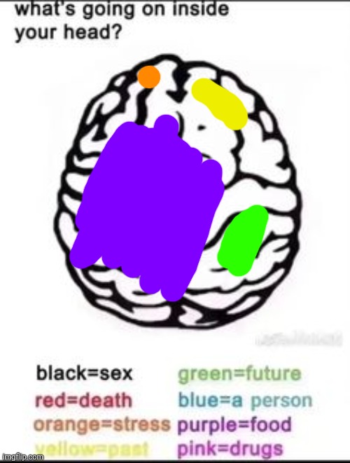 What's going on inside your head? | image tagged in what's going on inside your head | made w/ Imgflip meme maker