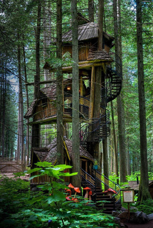 Cool Treehouse | image tagged in art,treehouse,cool stuff,architecture,trees,houses | made w/ Imgflip meme maker
