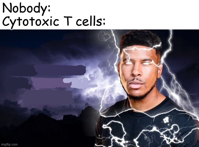 You should kill yourself NOW! | Nobody:
Cytotoxic T cells: | image tagged in you should kill yourself now,frost | made w/ Imgflip meme maker