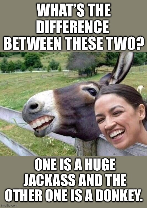 It’s hard to tell the difference… | WHAT’S THE DIFFERENCE 
BETWEEN THESE TWO? ONE IS A HUGE JACKASS AND THE OTHER ONE IS A DONKEY. | image tagged in political meme,aoc,donkey,difference,jackasses | made w/ Imgflip meme maker