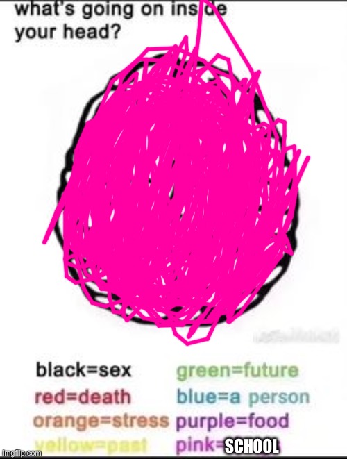What's going on inside your head? | SCHOOL | image tagged in what's going on inside your head | made w/ Imgflip meme maker