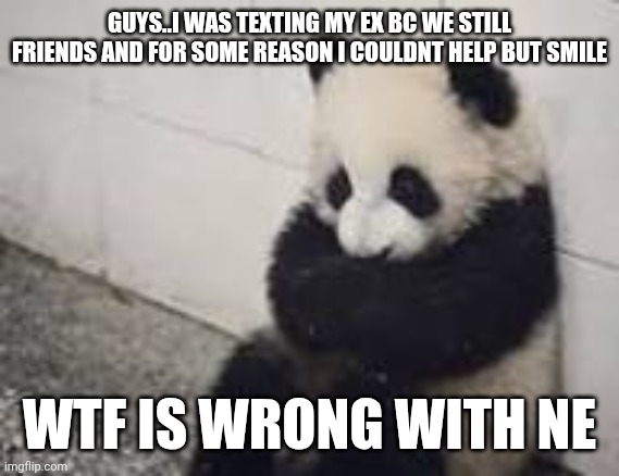 sad panda | GUYS..I WAS TEXTING MY EX BC WE STILL FRIENDS AND FOR SOME REASON I COULDNT HELP BUT SMILE; WTF IS WRONG WITH NE | image tagged in sad panda | made w/ Imgflip meme maker