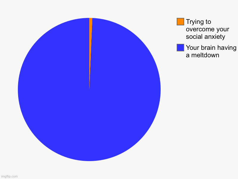 Your brain having a meltdown, Trying to overcome your social anxiety | image tagged in charts,pie charts | made w/ Imgflip chart maker