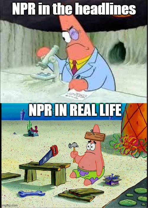National Public Radio -- MSM vs real life | NPR in the headlines; NPR IN REAL LIFE | image tagged in patrick smart dumb,memes,npr sucks,republican memes | made w/ Imgflip meme maker