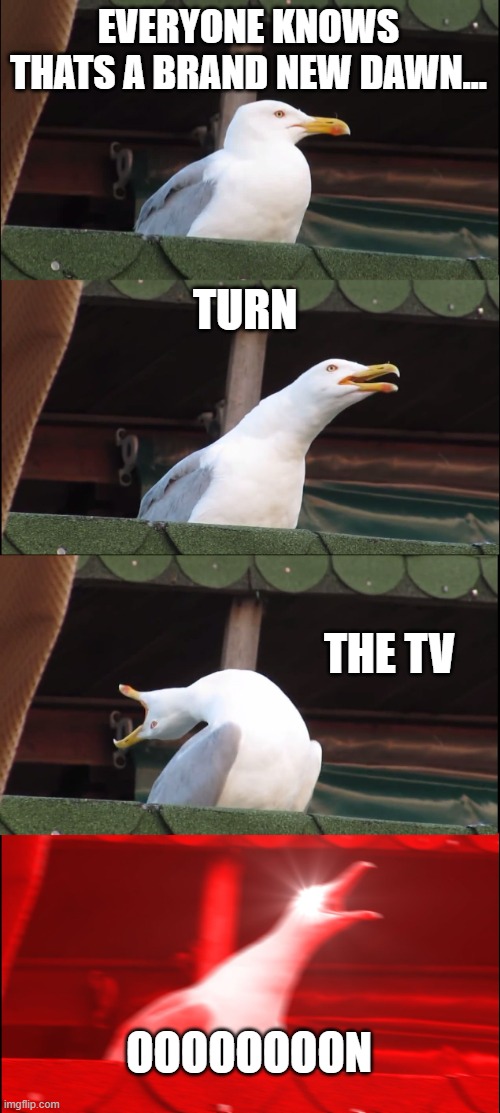 hzabin botel | EVERYONE KNOWS THATS A BRAND NEW DAWN... TURN; THE TV; OOOOOOOON | image tagged in memes,inhaling seagull | made w/ Imgflip meme maker