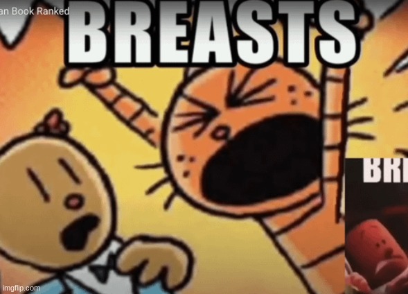 BREAST | image tagged in breast | made w/ Imgflip meme maker
