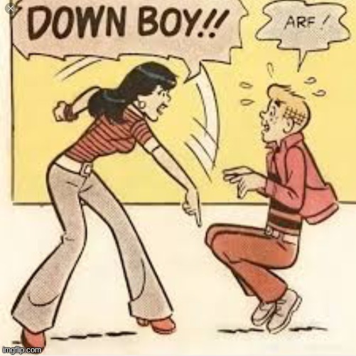 DOWN BOY | image tagged in down boy | made w/ Imgflip meme maker