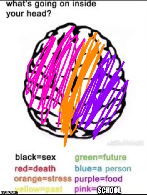 What's going on inside your head? | SCHOOL | image tagged in what's going on inside your head | made w/ Imgflip meme maker