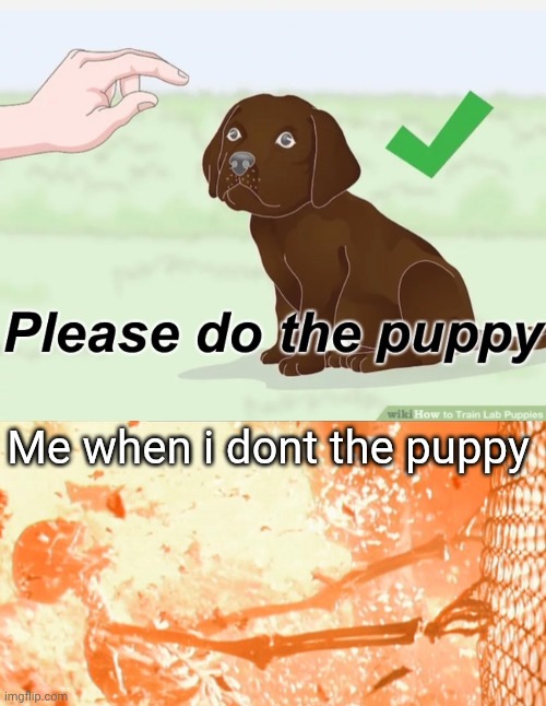 Me when i dont the puppy | image tagged in please do the puppy,skeleton exploding | made w/ Imgflip meme maker