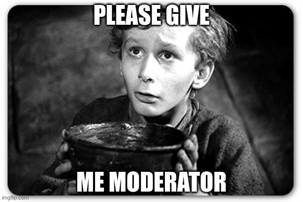 please give me moderator | PLEASE GIVE; ME MODERATOR | image tagged in beggar | made w/ Imgflip meme maker