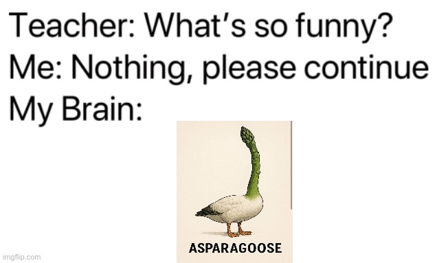 Asparagoose | image tagged in teacher what's so funny | made w/ Imgflip meme maker