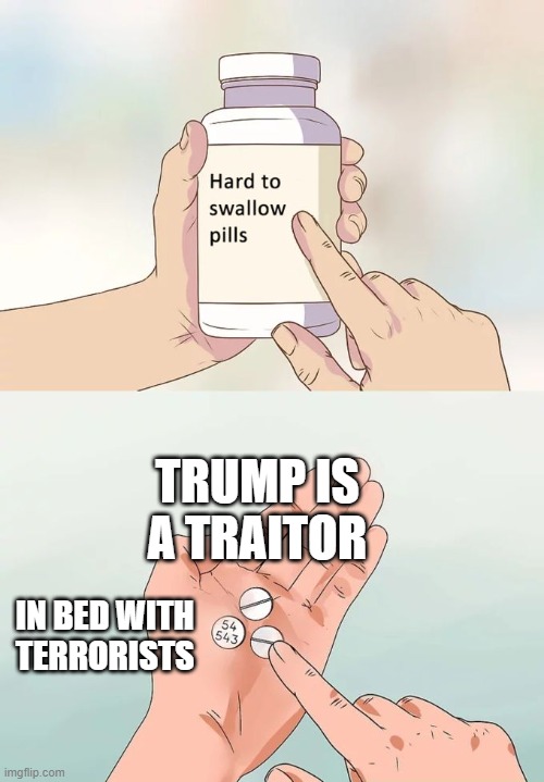 Europe/Canada=Bad Saudis/Qatar=Good! | TRUMP IS A TRAITOR; IN BED WITH TERRORISTS | image tagged in memes,hard to swallow pills | made w/ Imgflip meme maker