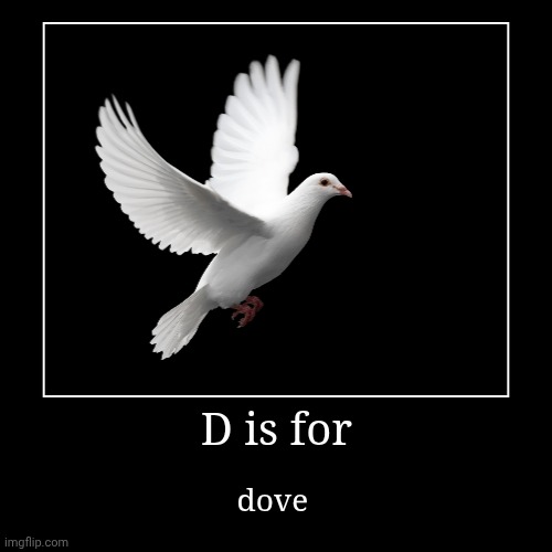 D is for Dove | D is for | dove | image tagged in funny,demotivationals | made w/ Imgflip demotivational maker