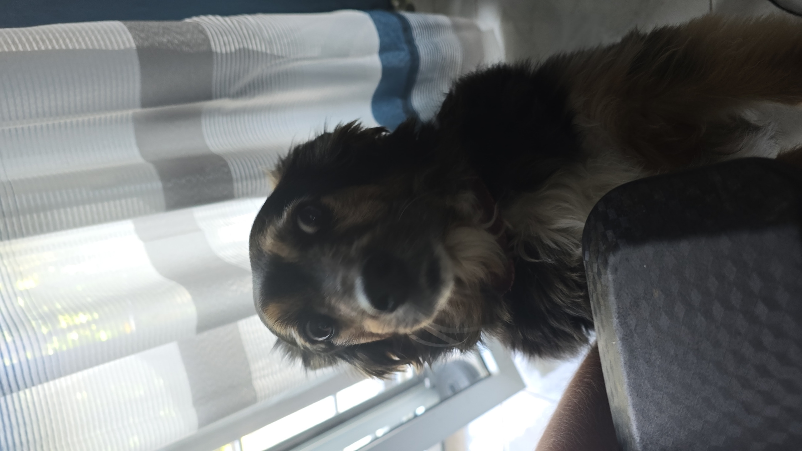 Maggie finding out Blank Meme Template