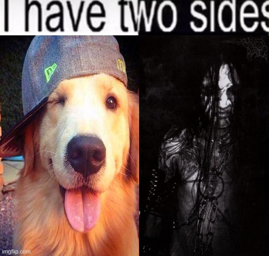 hats barn | image tagged in silly | made w/ Imgflip meme maker