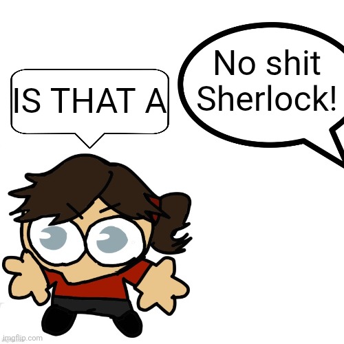 No shit Sherlock! IS THAT A | made w/ Imgflip meme maker