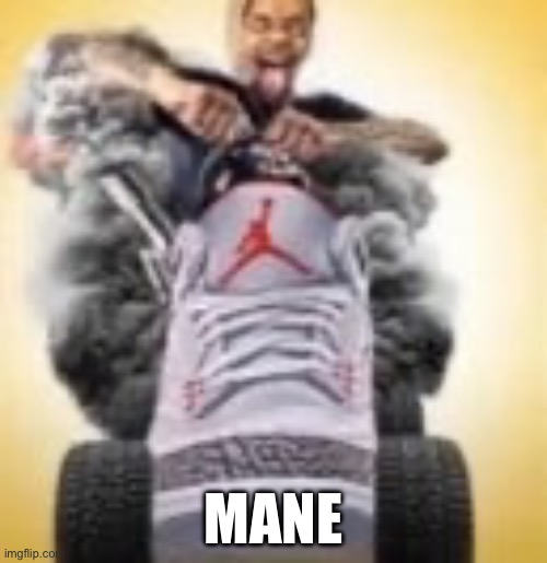 FlightReacts driving a shoe | MANE | image tagged in flightreacts driving a shoe | made w/ Imgflip meme maker