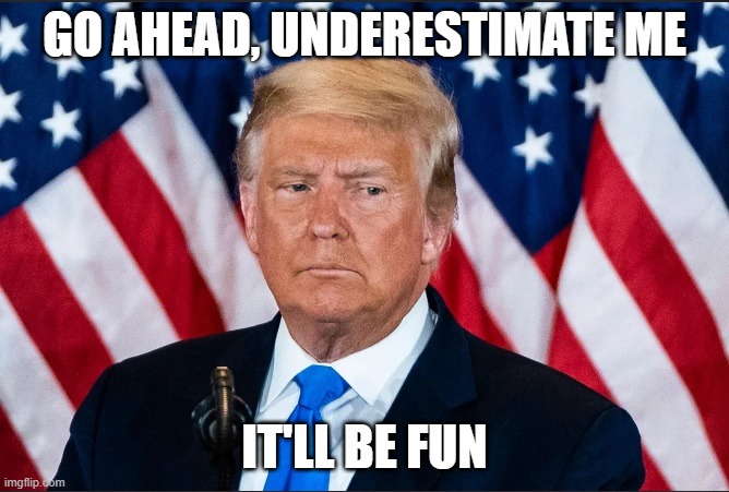 Underestimate Me | GO AHEAD, UNDERESTIMATE ME; IT'LL BE FUN | image tagged in trump,president,successful | made w/ Imgflip meme maker