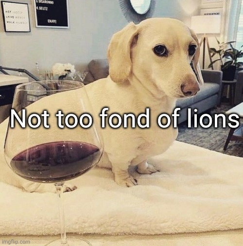 Homophobic Dog | Not too fond of lions | image tagged in homophobic dog | made w/ Imgflip meme maker