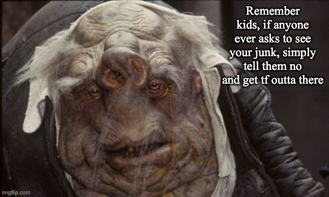 shrek with down syndrome | Remember kids, if anyone ever asks to see your junk, simply tell them no and get tf outta there | image tagged in shrek with down syndrome | made w/ Imgflip meme maker