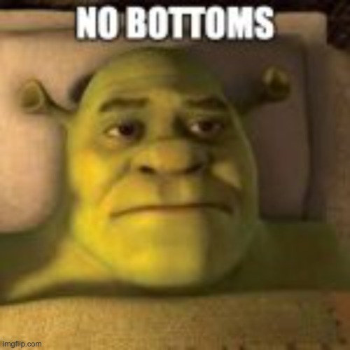 shrek shitpost 2 | image tagged in shrek shitpost 2 | made w/ Imgflip meme maker