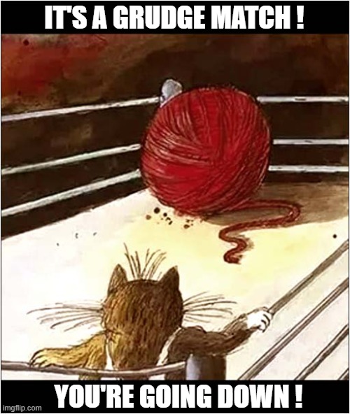 Let's Get Ready To Rumble ! | IT'S A GRUDGE MATCH ! YOU'RE GOING DOWN ! | image tagged in cats,wool,wrestling,rumble | made w/ Imgflip meme maker
