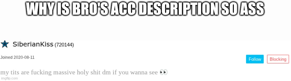 WHY IS BRO'S ACC DESCRIPTION SO ASS | made w/ Imgflip meme maker