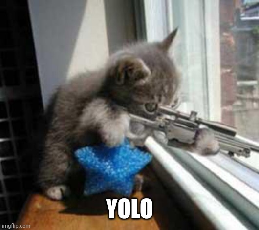 CatSniper | YOLO | image tagged in catsniper | made w/ Imgflip meme maker